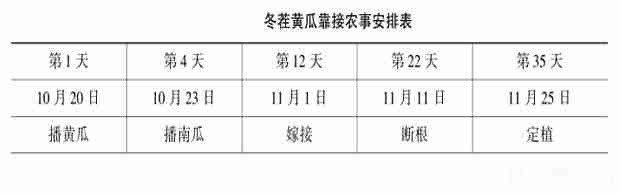 日光温室冬春茬黄瓜栽培技术(日光温室黄瓜冬春栽培的关键技术有哪些)